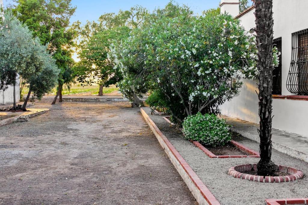 Ferienhaus Huerto Valenciano - Sol Y Tranquilidad - Piscina *